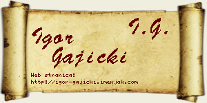 Igor Gajicki vizit kartica